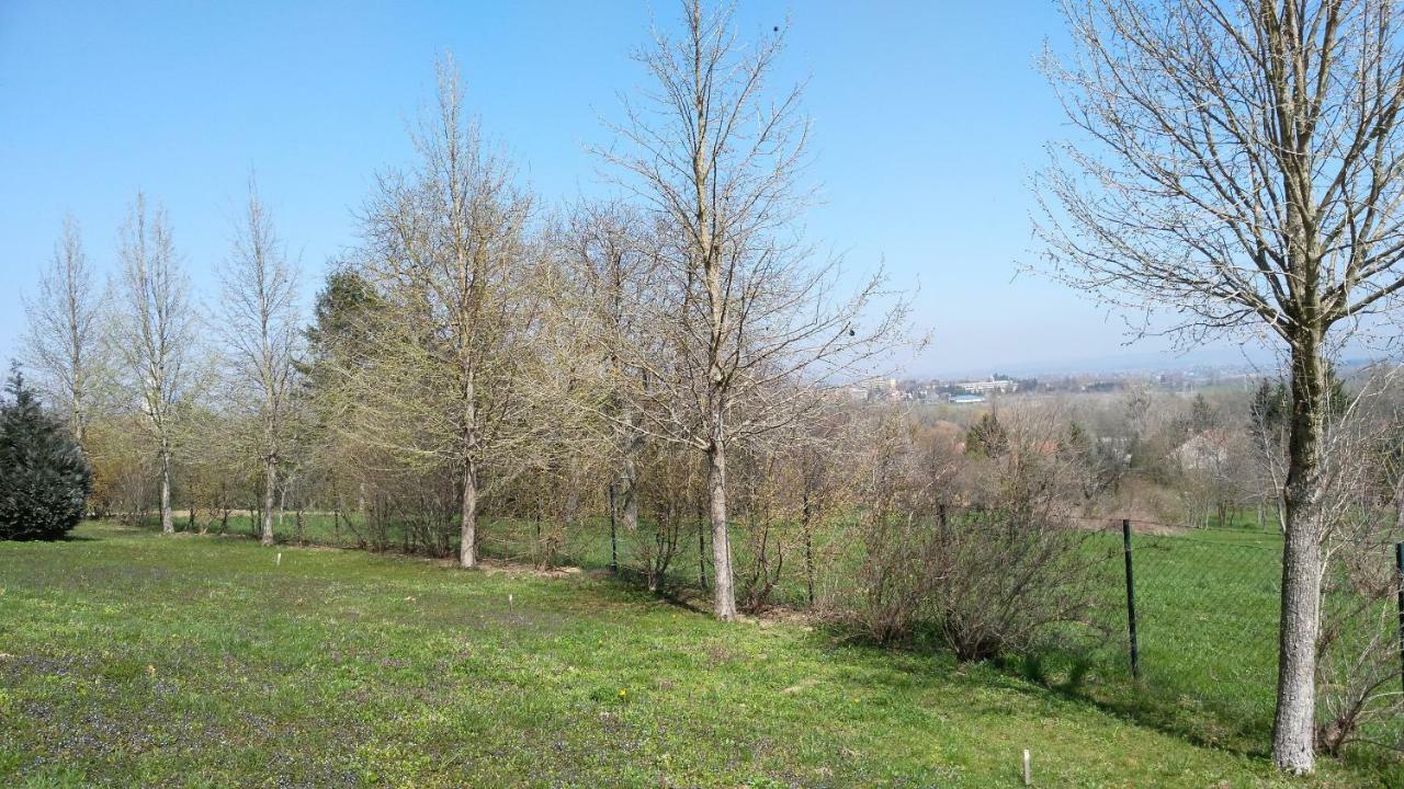 Modor Apartman Alsópáhok Bagian luar foto